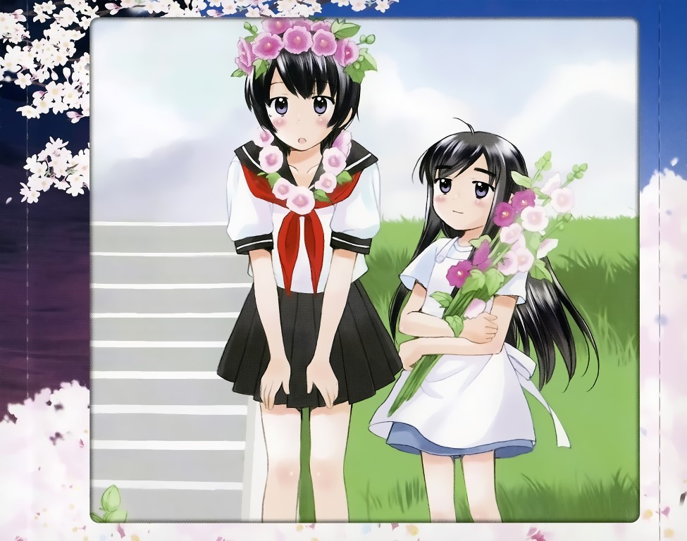 Buy Binbou Shimai Monogatari 1250 Animeprintz Com