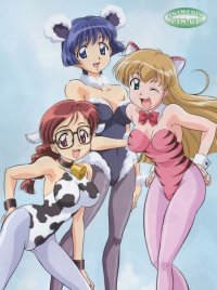 BUY NEW ai yori aoshi - 137719 Premium Anime Print Poster