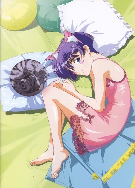 BUY NEW ai yori aoshi - 156744 Premium Anime Print Poster ai yori aoshi - 156744 image