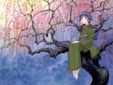 BUY NEW ai yori aoshi - 183972 Premium Anime Print Poster