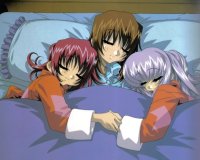 BUY NEW akihabara dennou gumi - 169554 Premium Anime Print Poster