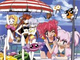 BUY NEW akihabara dennou gumi - 170248 Premium Anime Print Poster