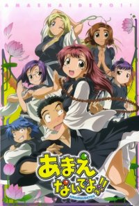 BUY NEW amaenaideyo - 83515 Premium Anime Print Poster