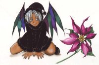 BUY NEW angel sanctuary - 107798 Premium Anime Print Poster