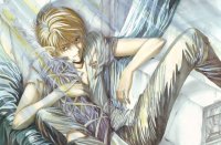 BUY NEW angel sanctuary - 107955 Premium Anime Print Poster