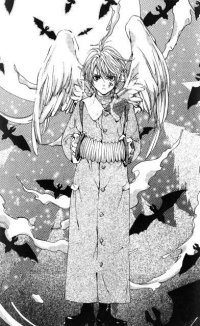 BUY NEW angel sanctuary - 118480 Premium Anime Print Poster