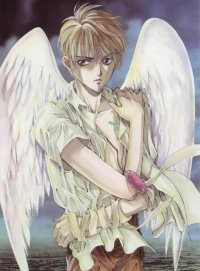 BUY NEW angel sanctuary - 133604 Premium Anime Print Poster
