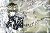 BUY NEW angel sanctuary - 162221 Premium Anime Print Poster