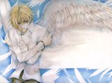 BUY NEW angel sanctuary - 1914 Premium Anime Print Poster