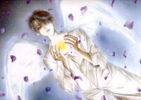 BUY NEW angel sanctuary - 63322 Premium Anime Print Poster
