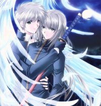 BUY NEW angels feather - 45217 Premium Anime Print Poster