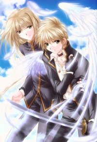 BUY NEW angels feather - 45222 Premium Anime Print Poster