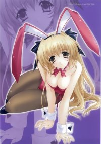 BUY NEW aoi kimizuka - 183660 Premium Anime Print Poster