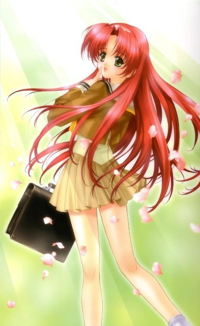 BUY NEW aoi kimizuka - 43601 Premium Anime Print Poster aoi kimizuka - 43601 image