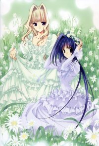 BUY NEW aoi nanase - 52359 Premium Anime Print Poster