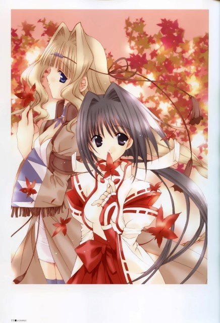 BUY NEW aoi nanase - 52360 Premium Anime Print Poster aoi nanase - 52360 image