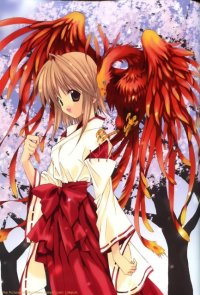 BUY NEW aoi nanase - 52603 Premium Anime Print Poster