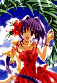 BUY NEW aoi nanase - 55383 Premium Anime Print Poster