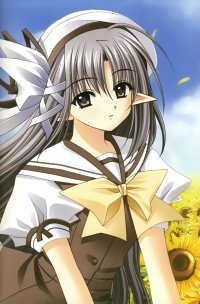 BUY NEW aoi nishimata - 104473 Premium Anime Print Poster