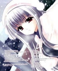 BUY NEW aoi nishimata - 167750 Premium Anime Print Poster