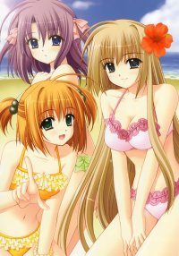 BUY NEW aoi nishimata - 173642 Premium Anime Print Poster