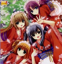 BUY NEW aoi nishimata - 186159 Premium Anime Print Poster