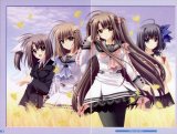 BUY NEW aoi nishimata - 190234 Premium Anime Print Poster