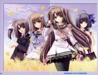 BUY NEW aoi nishimata - 190234 Premium Anime Print Poster