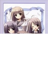 BUY NEW aoi nishimata - 190237 Premium Anime Print Poster