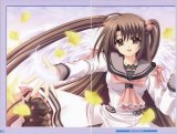 BUY NEW aoi nishimata - 190244 Premium Anime Print Poster