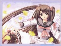 BUY NEW aoi nishimata - 190244 Premium Anime Print Poster