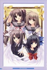 BUY NEW aoi nishimata - 190245 Premium Anime Print Poster