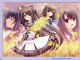 BUY NEW aoi nishimata - 190249 Premium Anime Print Poster