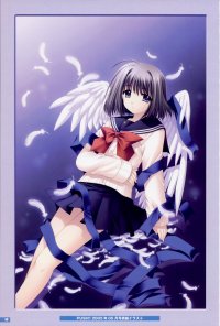 BUY NEW aoi nishimata - 190250 Premium Anime Print Poster