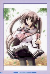 BUY NEW aoi nishimata - 190259 Premium Anime Print Poster