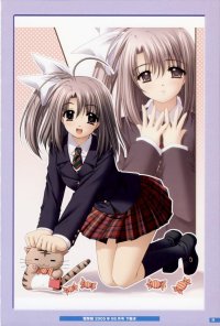 BUY NEW aoi nishimata - 190261 Premium Anime Print Poster
