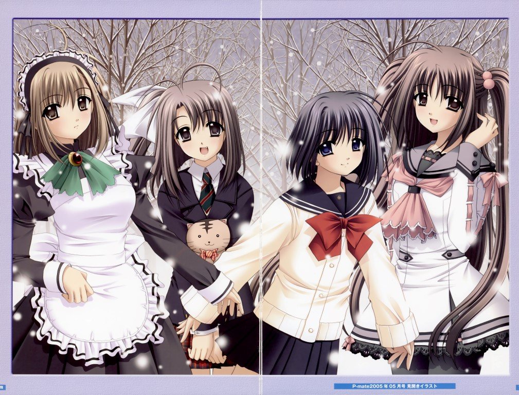 BUY NEW aoi nishimata - 190431 Premium Anime Print Poster aoi nishimata - 190431 image