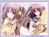 BUY NEW aoi nishimata - 190491 Premium Anime Print Poster