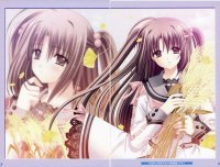 BUY NEW aoi nishimata - 190491 Premium Anime Print Poster