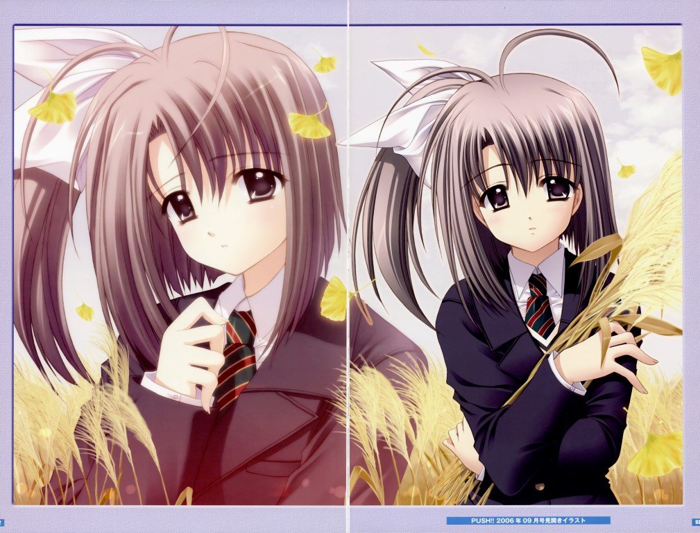 BUY NEW aoi nishimata - 190500 Premium Anime Print Poster aoi nishimata - 190500 image