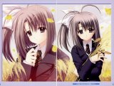 BUY NEW aoi nishimata - 190500 Premium Anime Print Poster