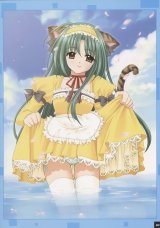 BUY NEW aoi nishimata - 77341 Premium Anime Print Poster