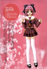BUY NEW aoi nishimata - 82644 Premium Anime Print Poster