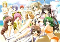 BUY NEW aoi nishimata - 82649 Premium Anime Print Poster