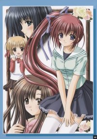 BUY NEW aoi nishimata - 84720 Premium Anime Print Poster