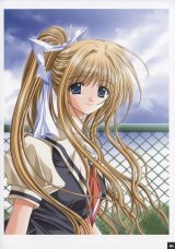 BUY NEW aoi nishimata - 85240 Premium Anime Print Poster