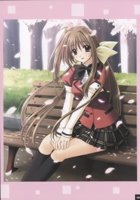 BUY NEW aoi nishimata - 85247 Premium Anime Print Poster