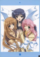 BUY NEW aoi nishimata - 85248 Premium Anime Print Poster