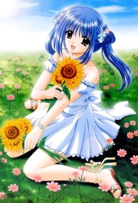 BUY NEW aoi nishimata - 9758 Premium Anime Print Poster