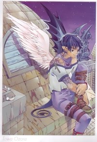 BUY NEW aquarian age card game - 110475 Premium Anime Print Poster